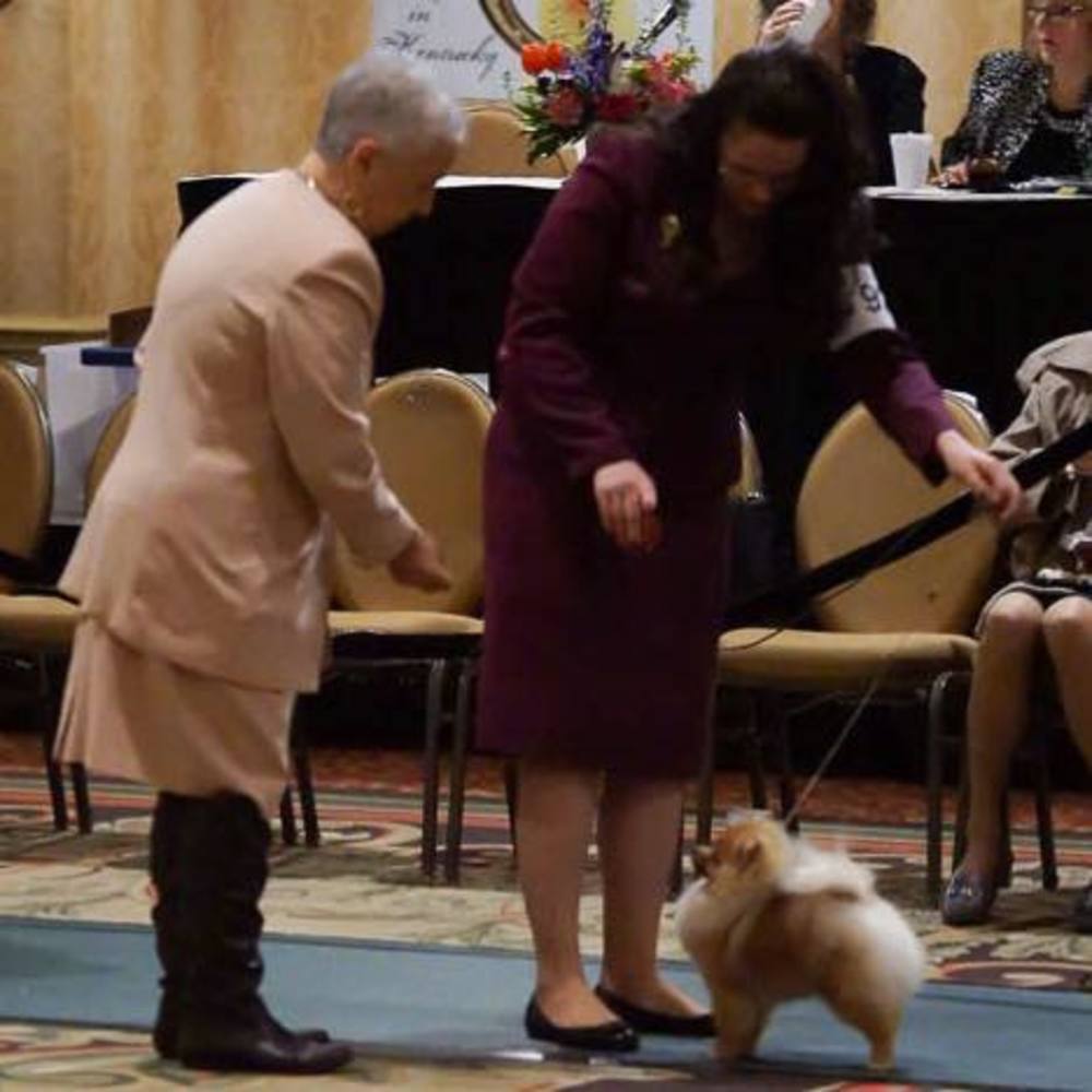 Meet your Posher, Aly